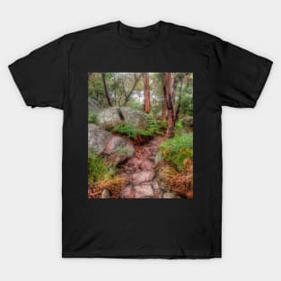 Split Rock at Oatley Park T-Shirt